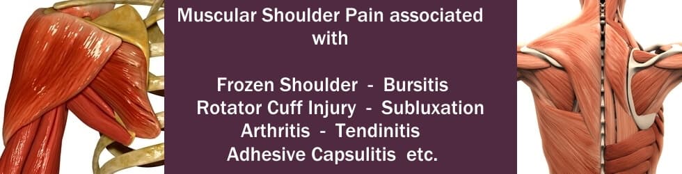 header for shoulder page